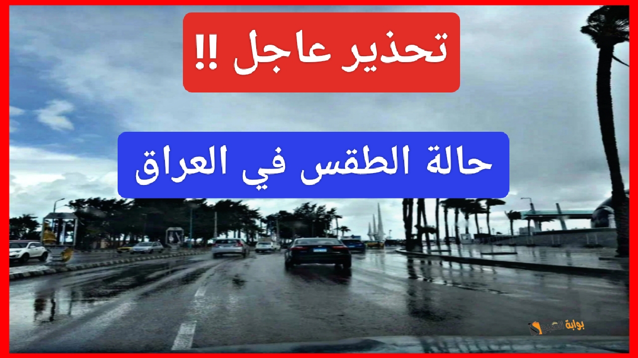 IMG ٢٠٢٤١٢٢٧ ٠١٤٢٠٤