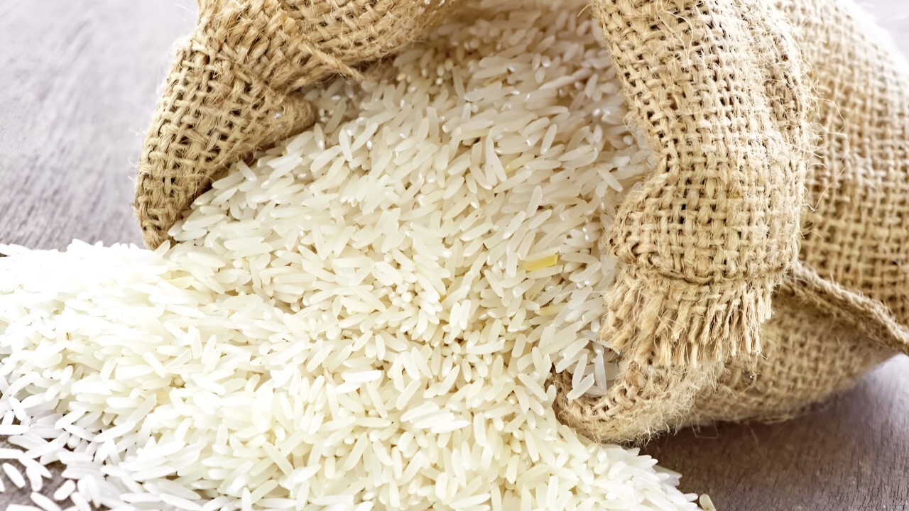 أسعار الأرز الشعير اليوم الأربعاء