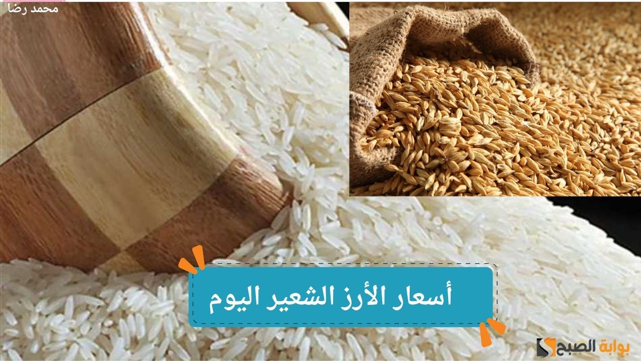أسعار الأرز الشعير اليوم