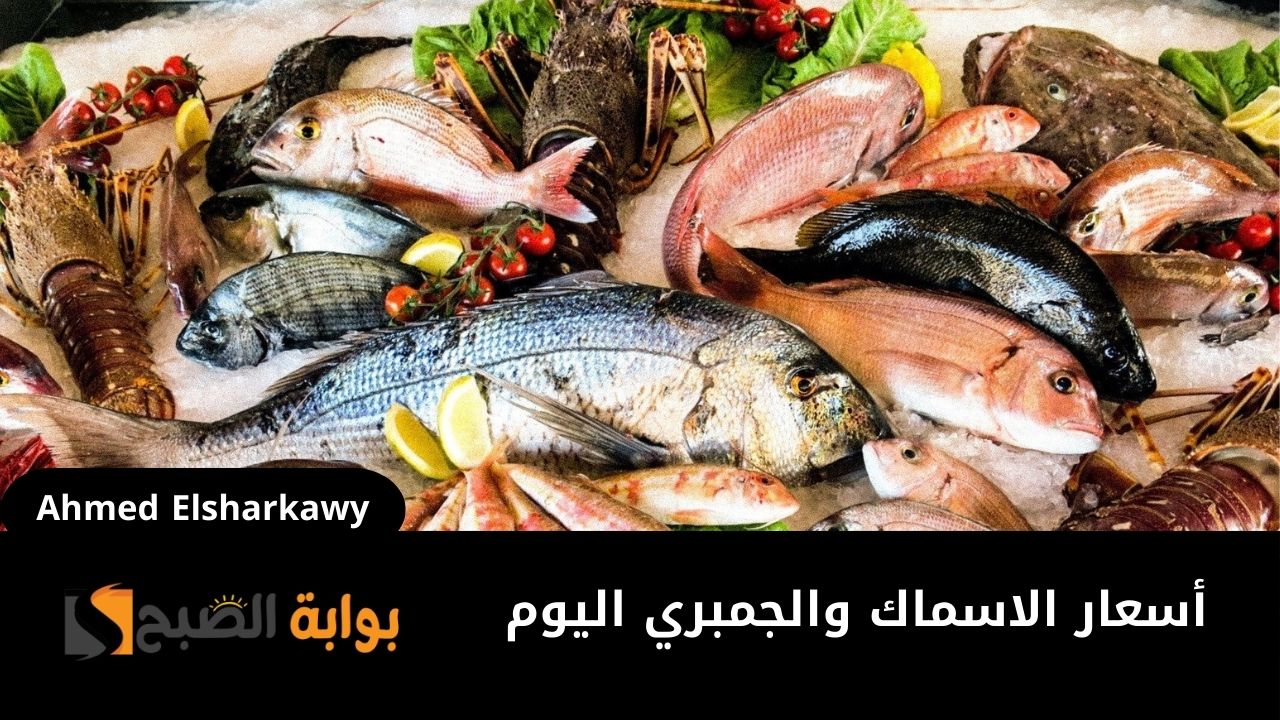 أسعار الاسماك والجمبري اليوم