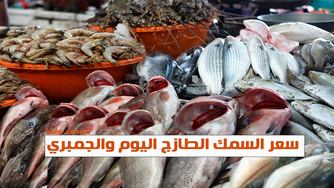 أسعار السمك والجمبري اليوم