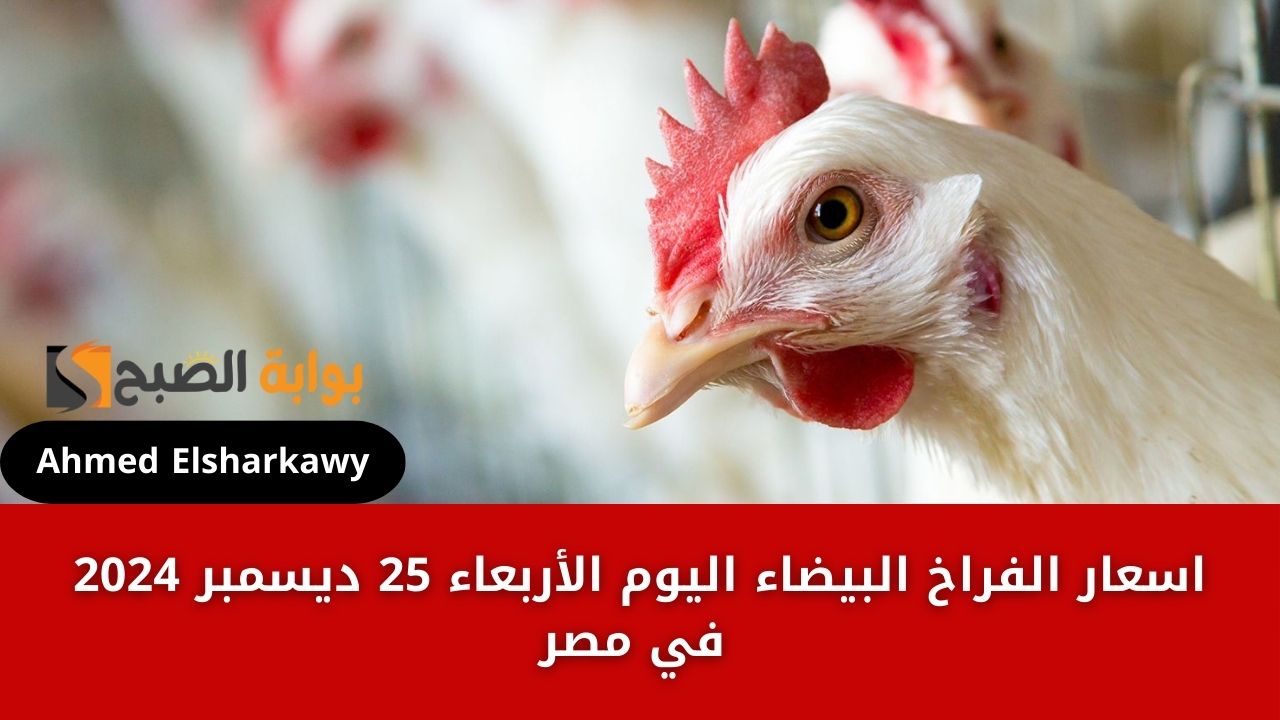 أسعار كرتونة البيض اليوم