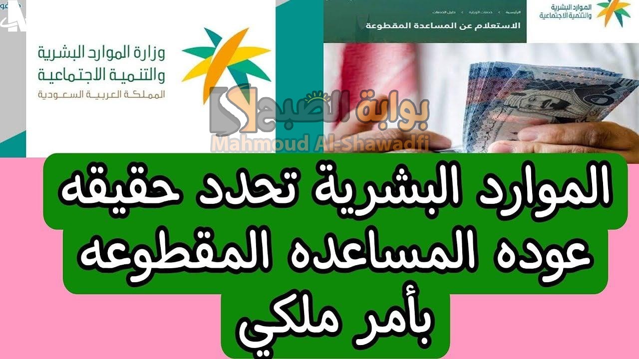 أمر ملكي.. عودة صرف المساعدة المقطوعة لشهر يناير 2025 الموارد البشرية توضح الحقيقة