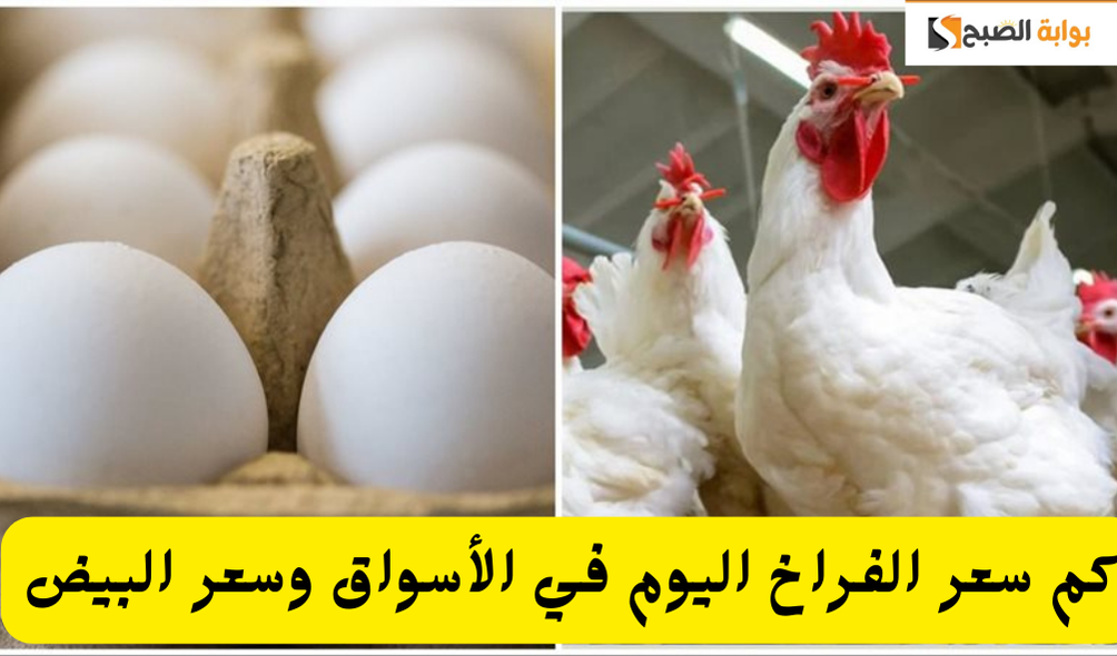 إضافة عنوان فرعي 2