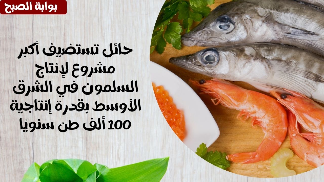 مركز التمير إنتاج السلمون