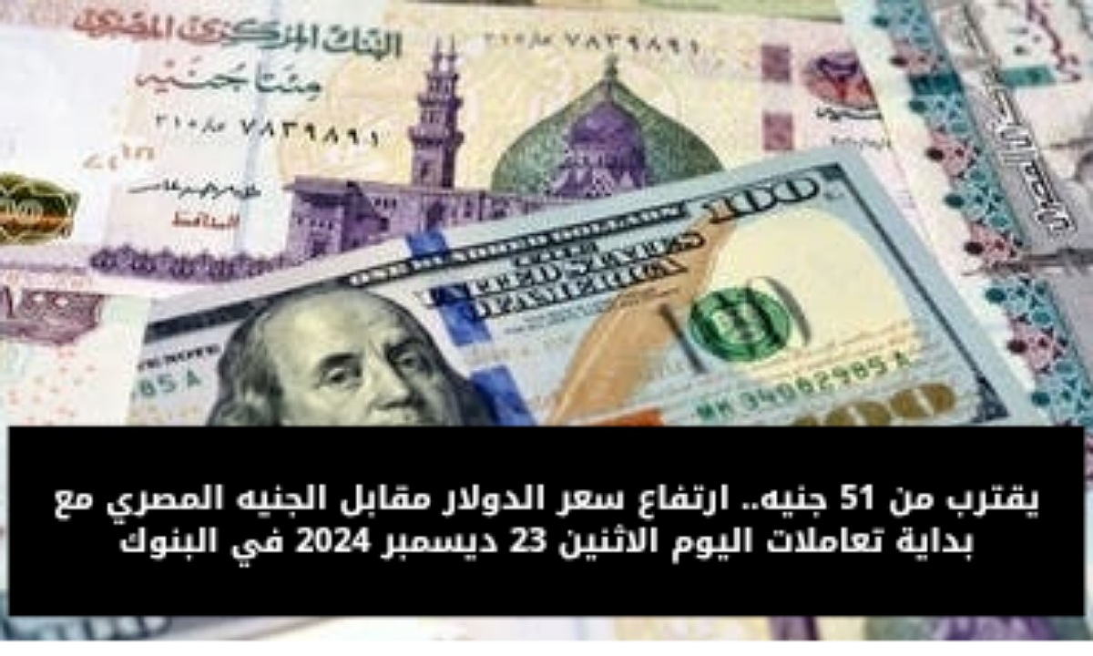 ارتفاع سعر الدولار مقابل الجنيه المصري