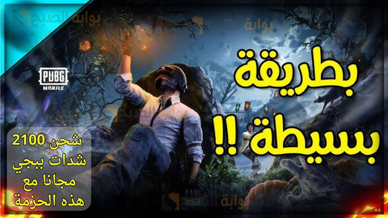 طريقة شحن مضمونة 100% لشدات لعبة ببجي