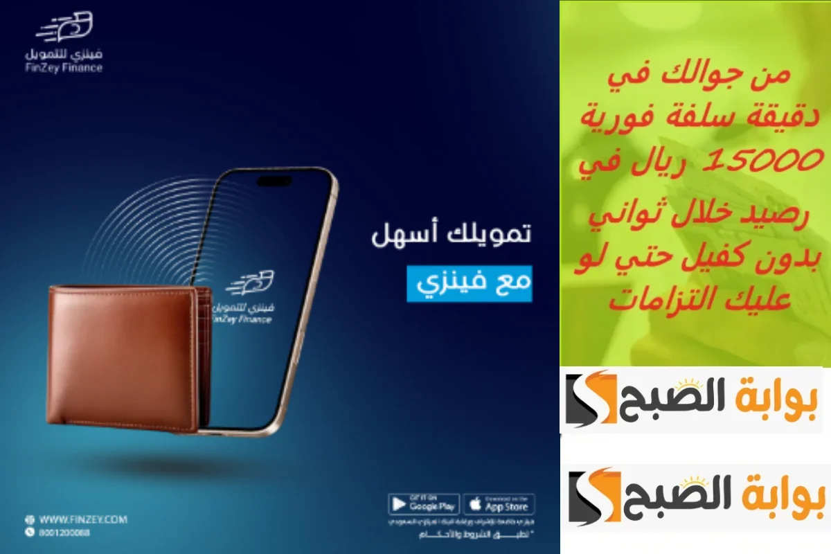 تمويل فينزي