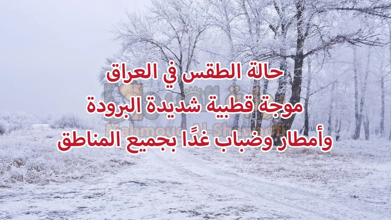 حالة الطقس في العراق.. موجة قطبية شديدة البرودة وأمطار وضباب غدًا بجميع المناطق