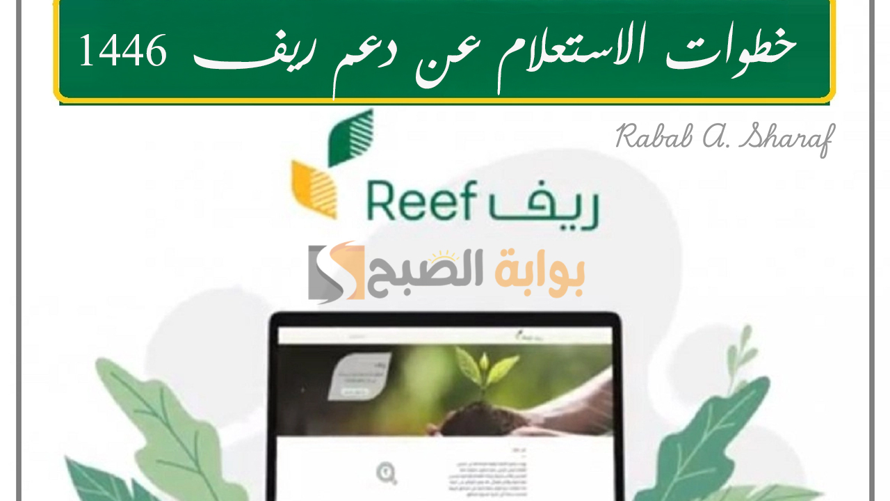 خطوات الاستعلام عن دعم ريف 1446