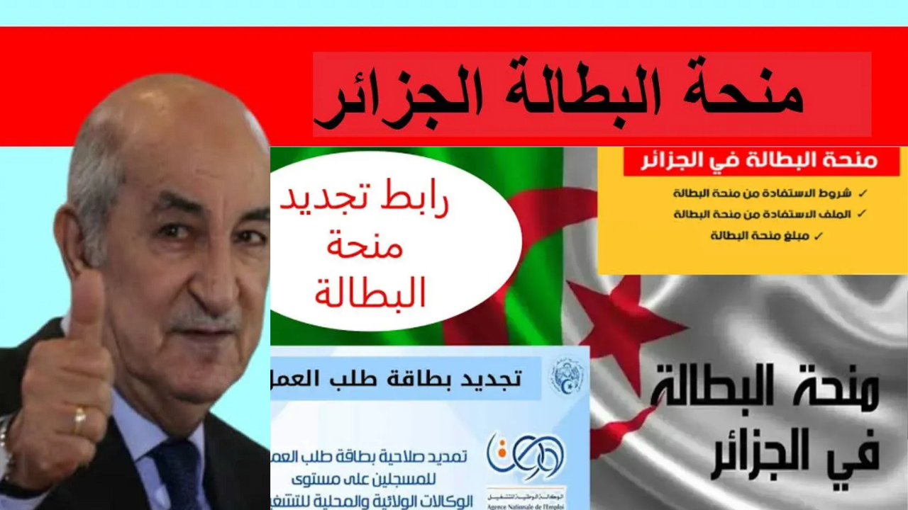 خطوات التسجيل في منحة البطالة في الجزائر 2025