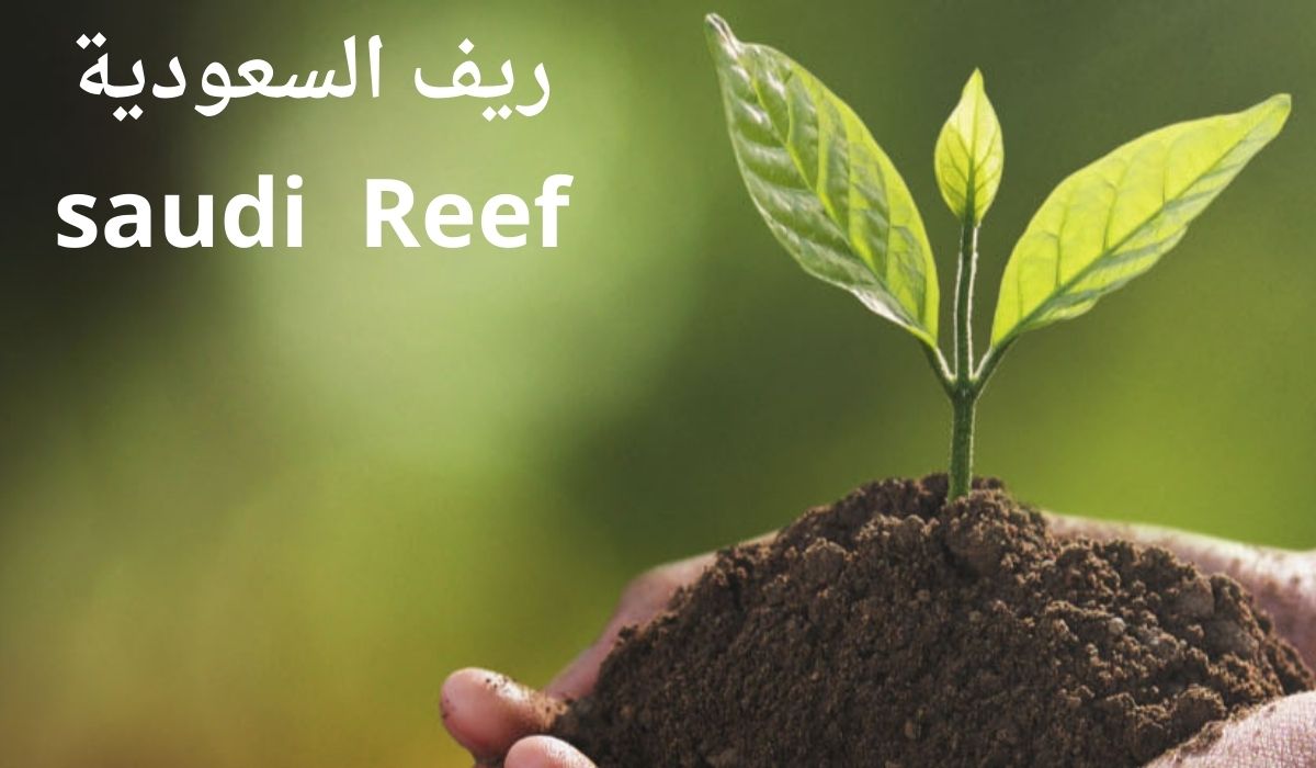 ما خطوات وشروط الاستعلام عن القبول في دعم ريف؟ وزارة البيئة والزراعة توضح