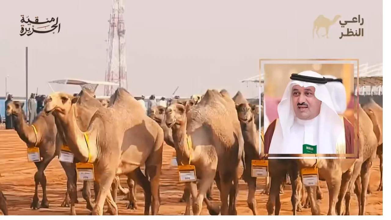 رابط منصة راعي النظر