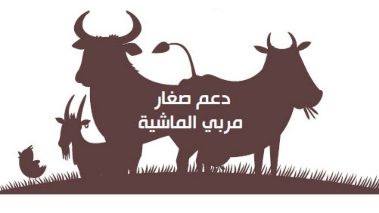 رقم دعم المواشي 1446