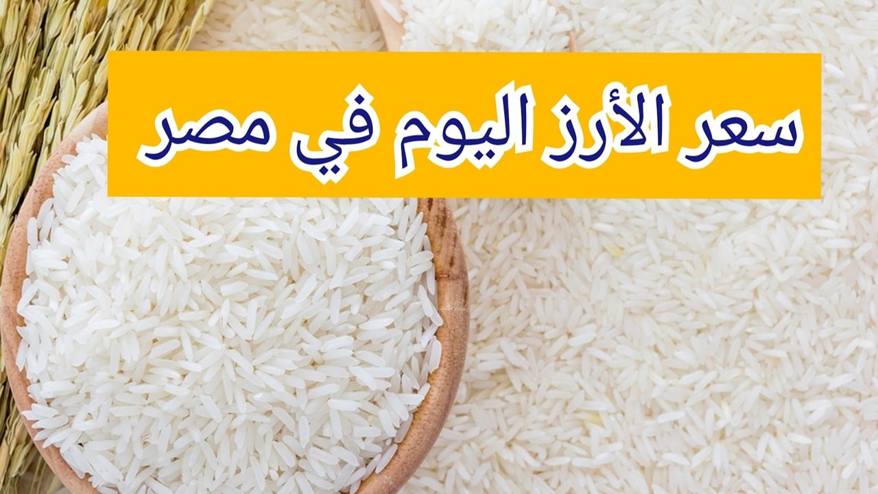 سعر الأرز اليوم