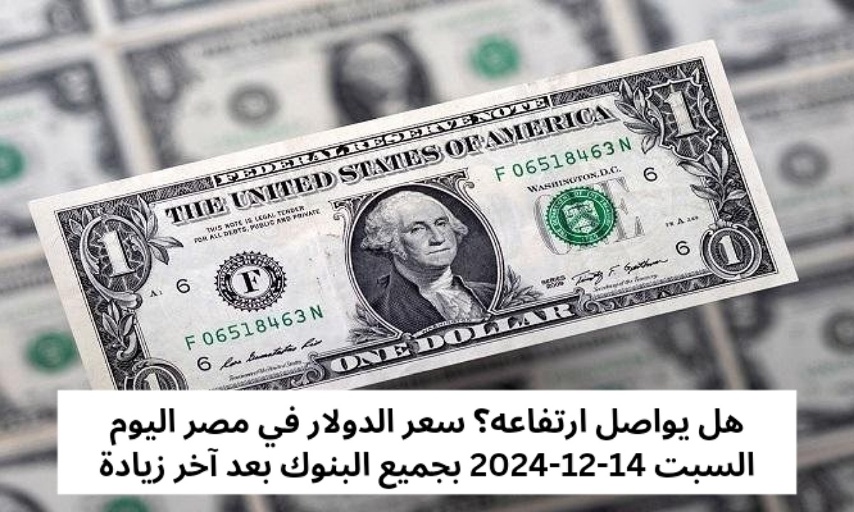 سعر الدولار في مصر اليوم