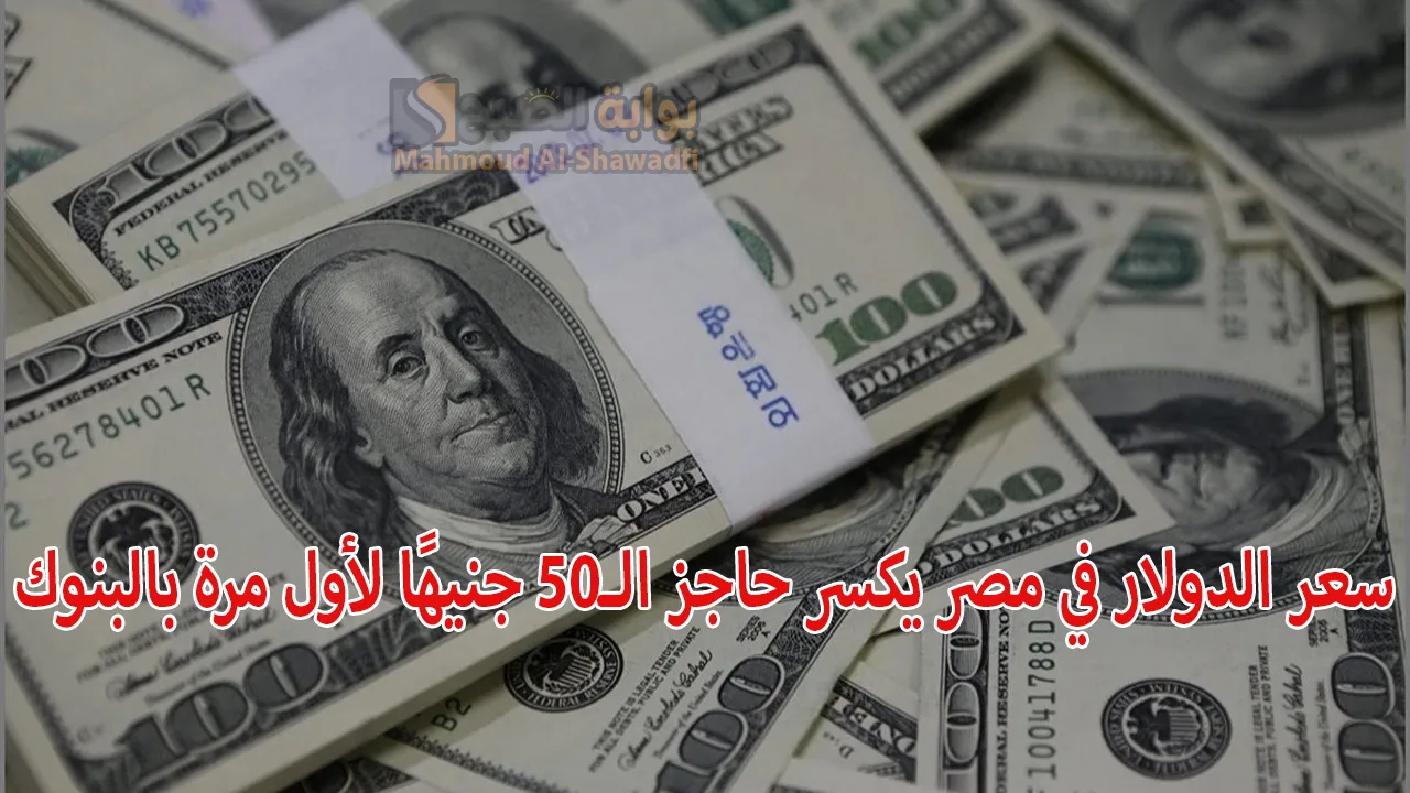سعر الدولار في مصر يكسر حاجز الـ50 جنيهًا لأول مرة بالبنوك