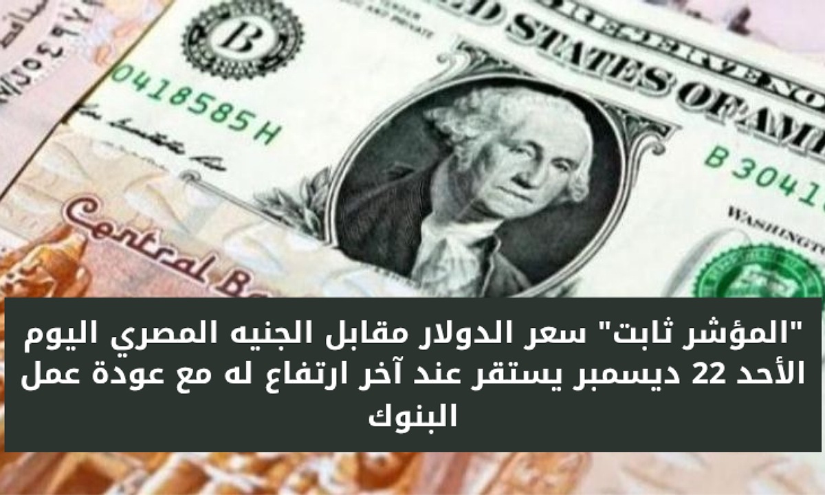 سعر الدولار مقابل الجنيه المصري اليوم