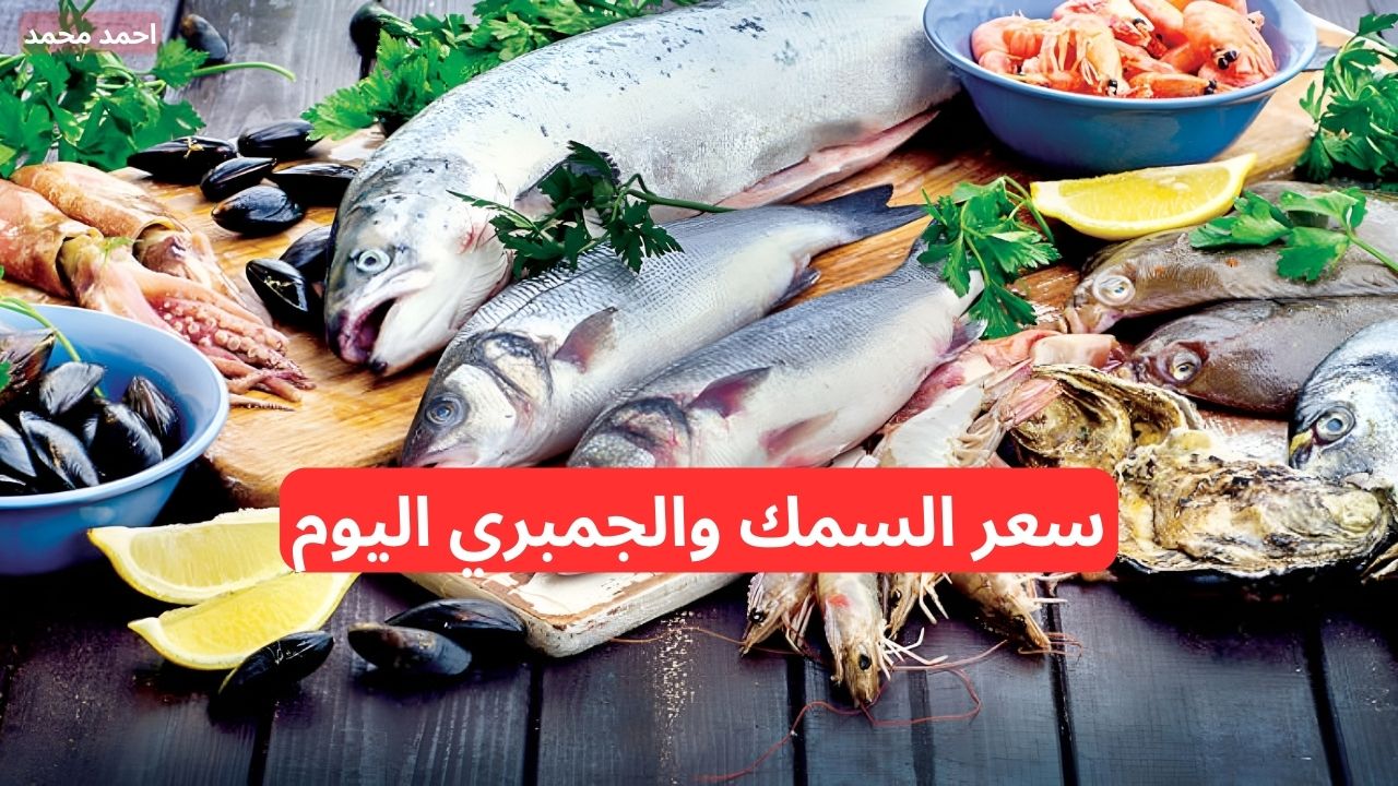 سعر السمك اليوم الأحد 1-12-2024.. أسعار الجمبري اليوم والبلطي