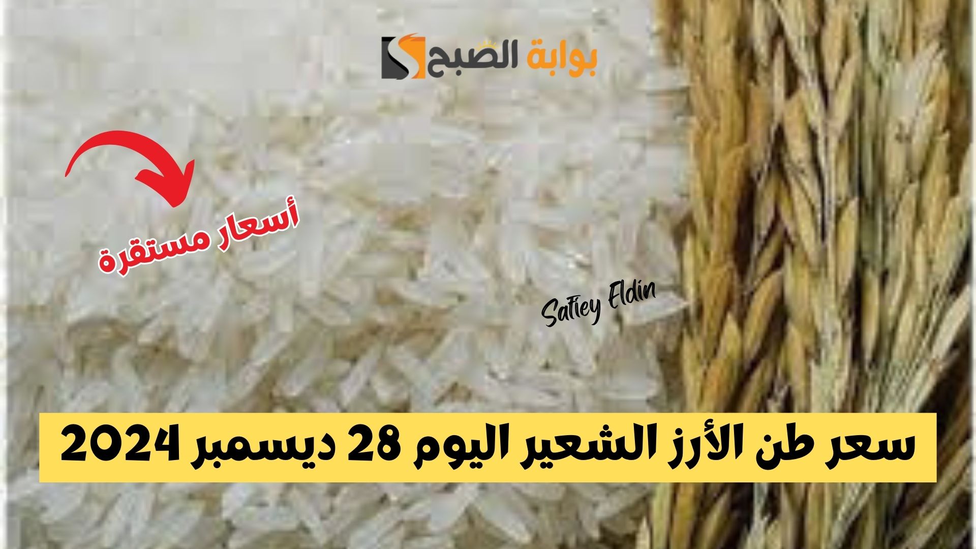 سعر طن الأرز الشعير اليوم 28 ديسمبر 2024