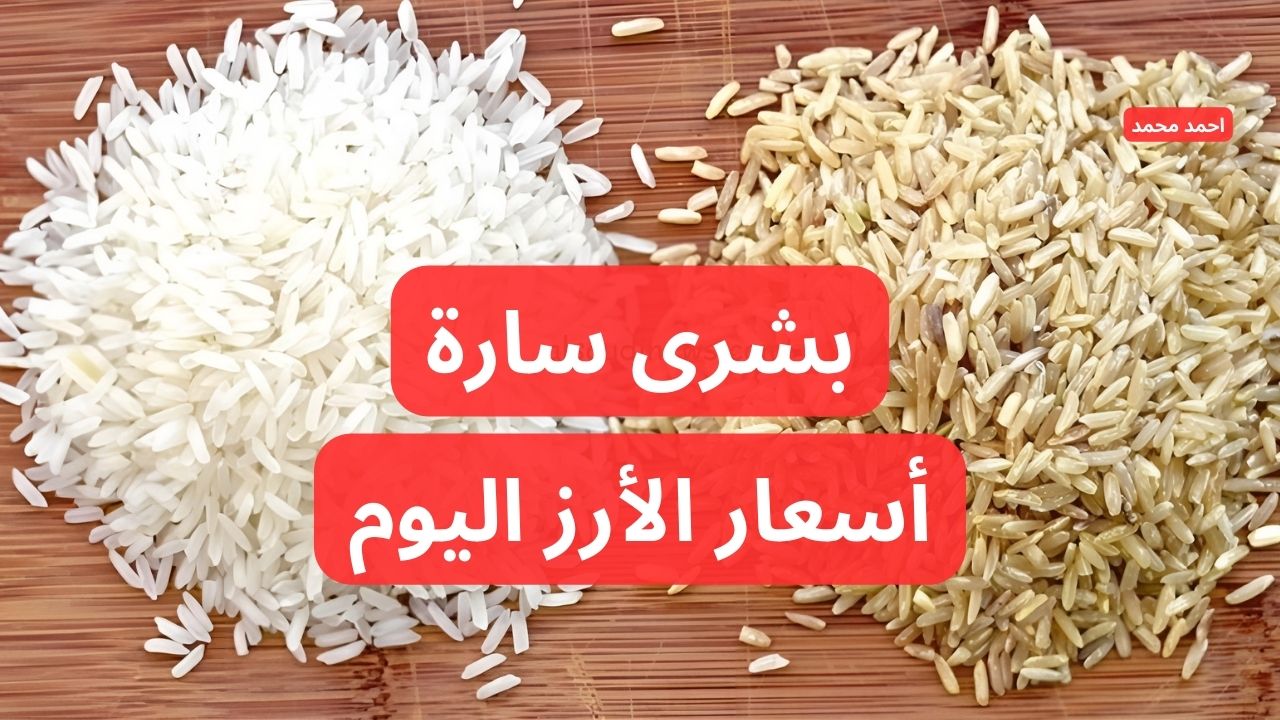 سعر طن الأرز الشعير اليوم الأحد 8-12-2024.. أسعار الأرز الأبيض اليوم