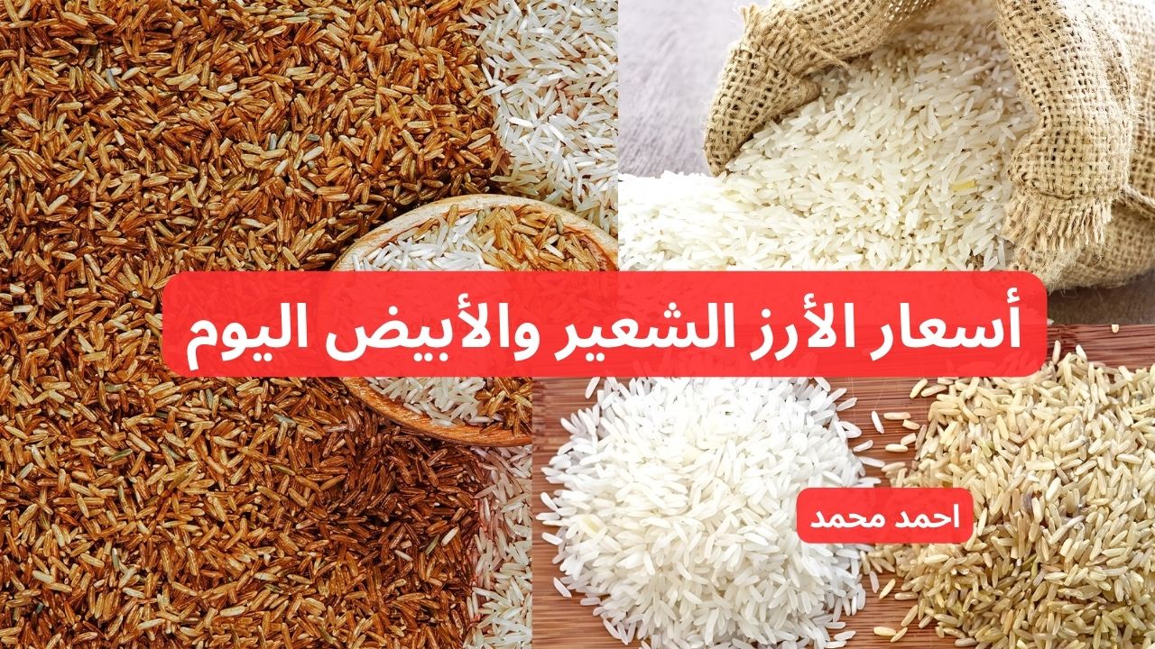 سعر طن الأرز الشعير اليوم الأربعاء 11-12-2024 في التعاملات