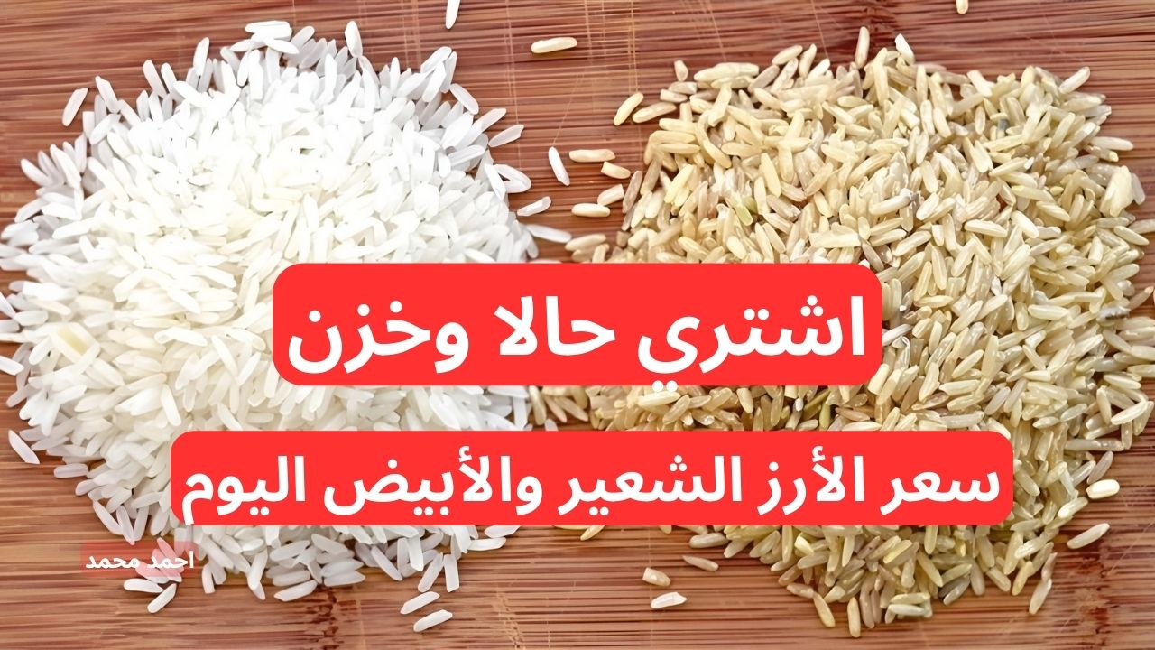 سعر طن الأرز الشعير اليوم الأربعاء 4-12-2024.. كم سعر الأرز الأبيض؟