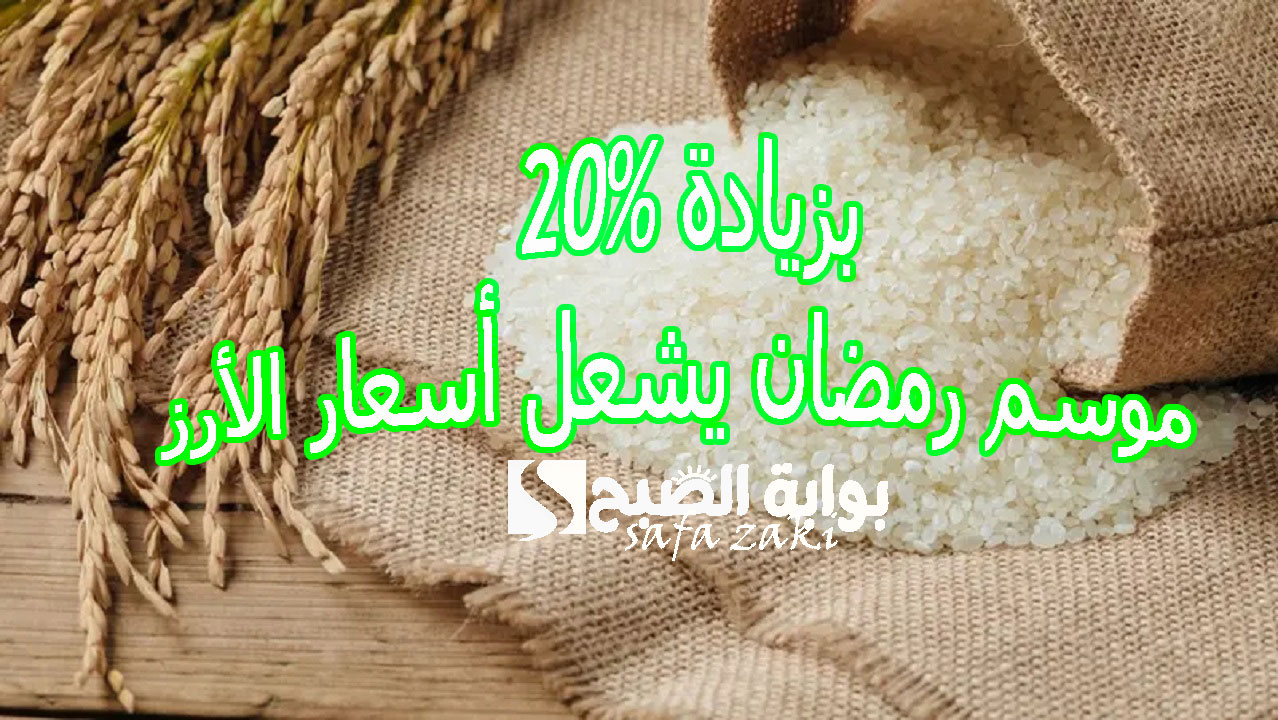 سعر طن الأرز الشعير اليوم