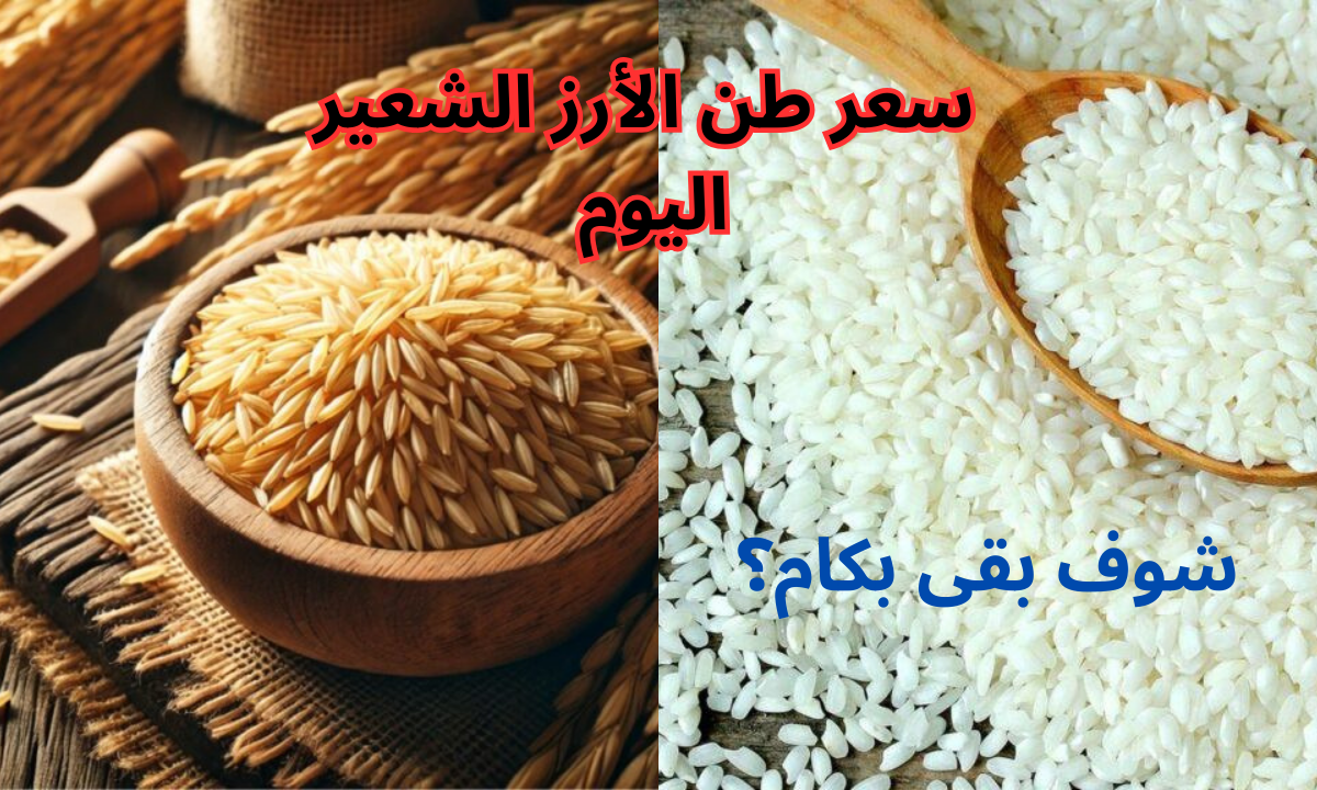سعر طن الأرز الشعير اليوم