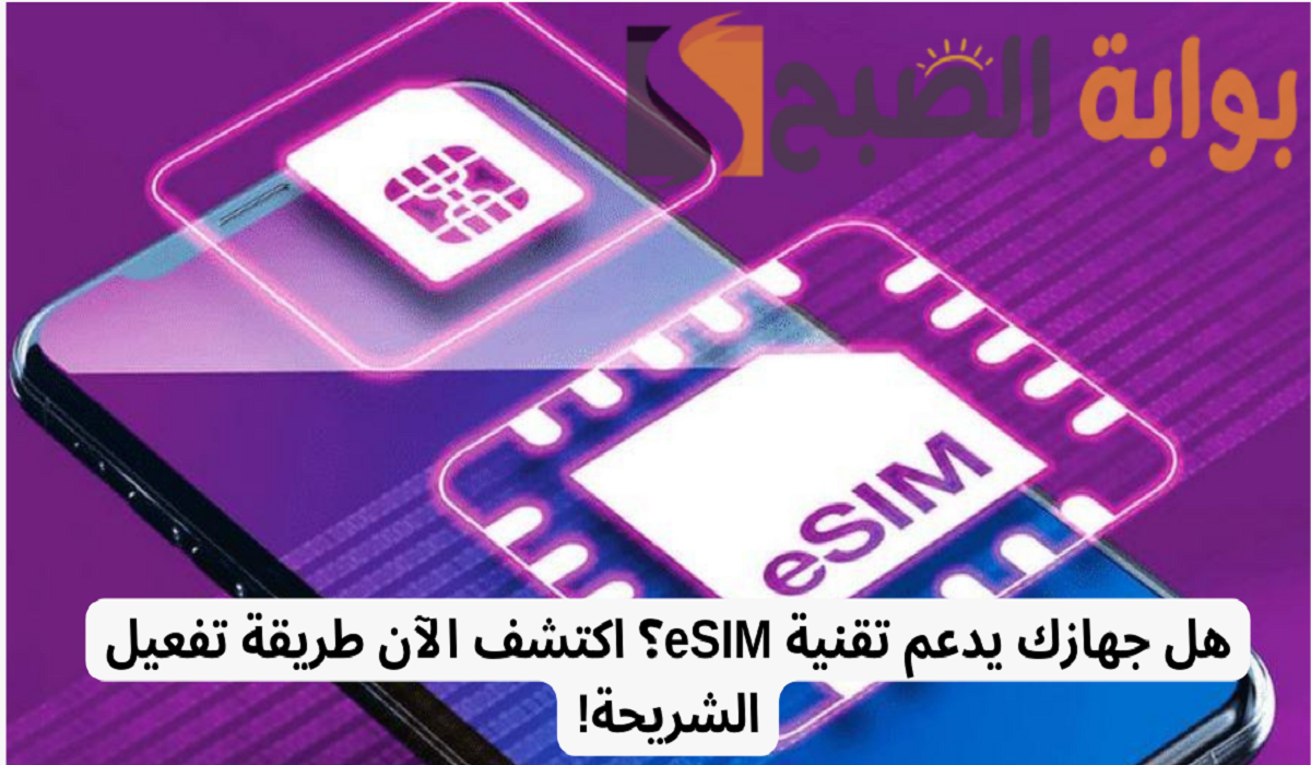 شريحة esim