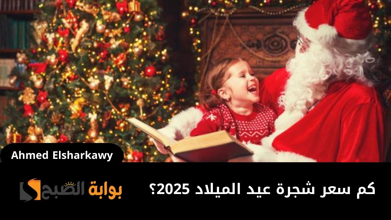 كم سعر شجرة عيد الميلاد 2025؟