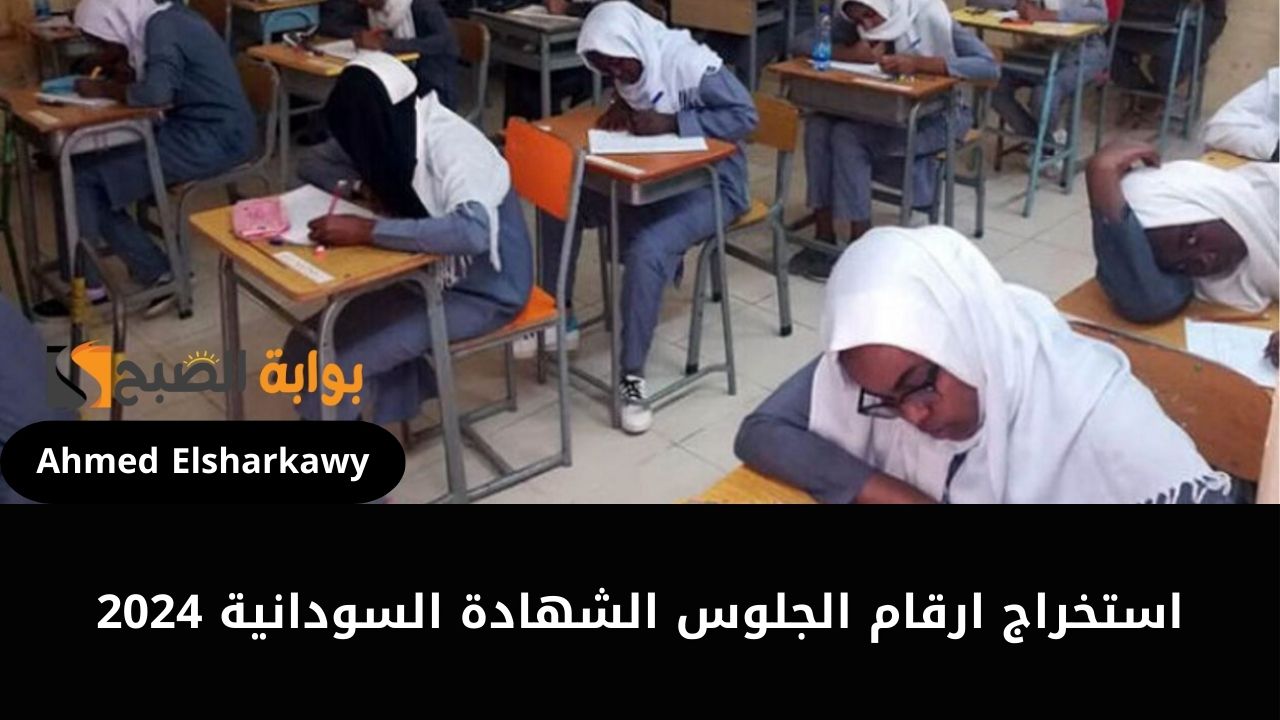 كيفية استخراج ارقام الجلوس الشهادة السودانية 2024