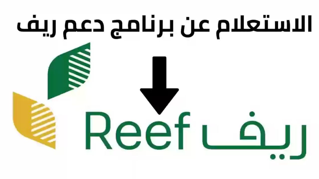 كيفية الاستعلام عن دعم ريف