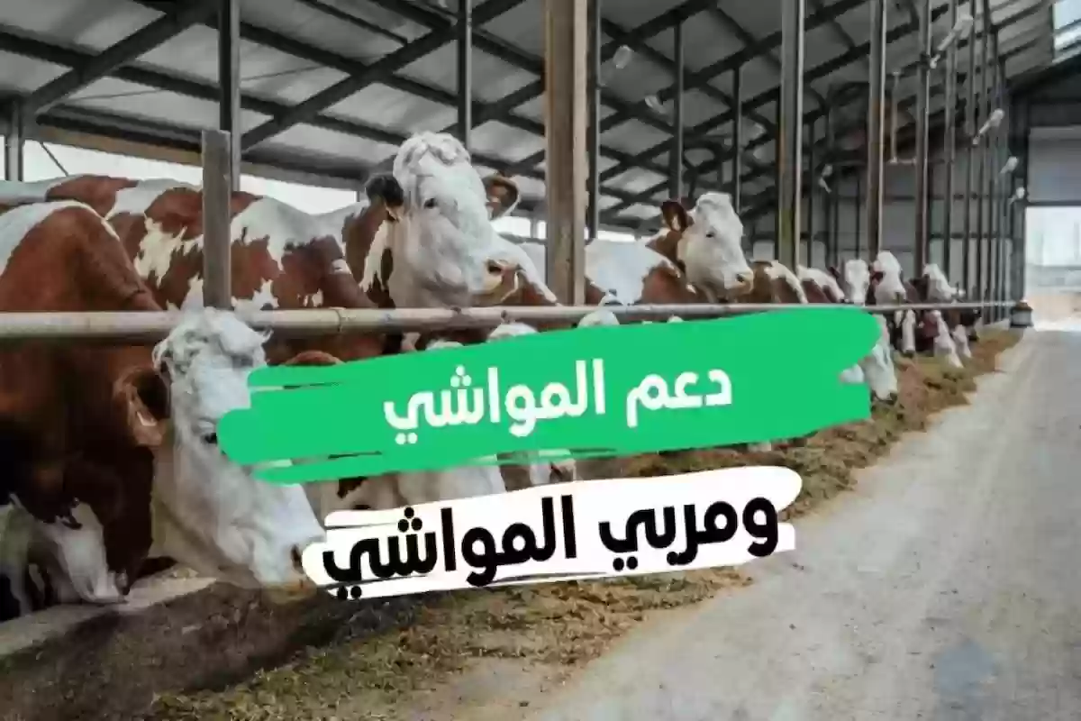 موعد صرف دعم المواشي لشهر ديسمبر وخطوات الاستعلام إلكترونيًا