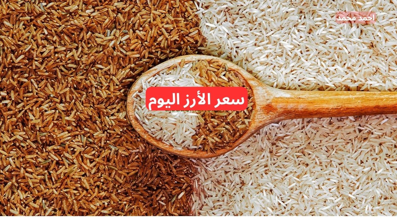 نقيب الفلاحين يعلن سعر طن الأرز الشعير اليوم الأربعاء 4-12-2024 في مصر