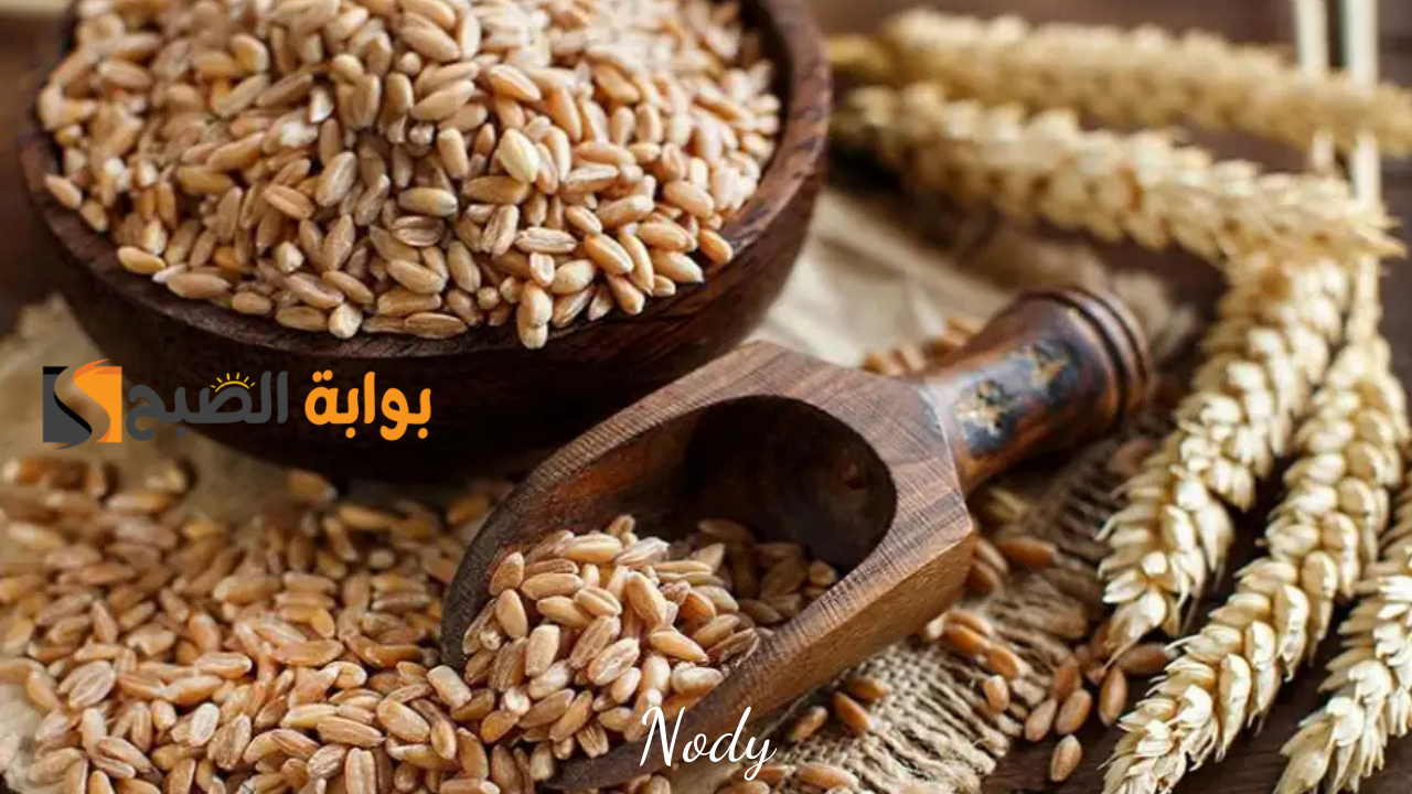 أسعار الأرز الشعير اليوم في مصر