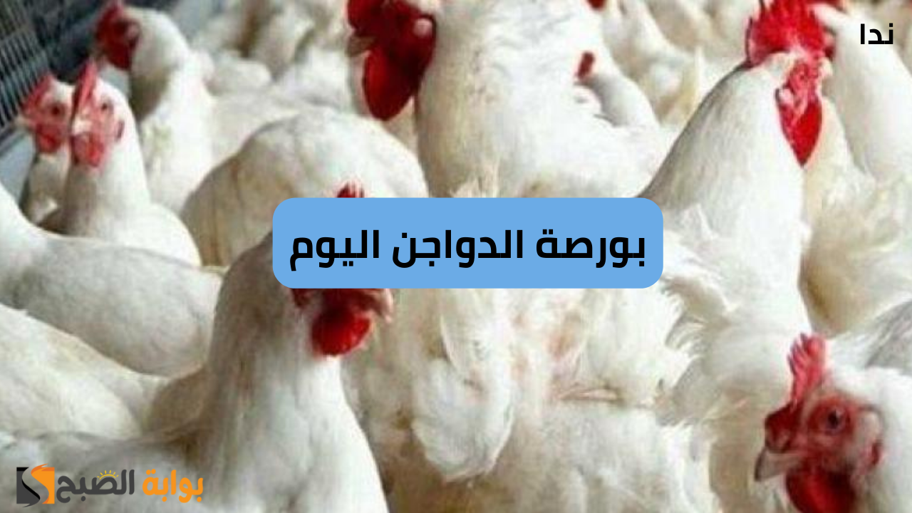 أسعار البيض اليوم 1-12-2024 في مصر