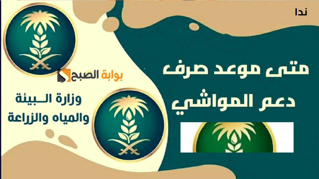 موعد صرف دعم المواشي