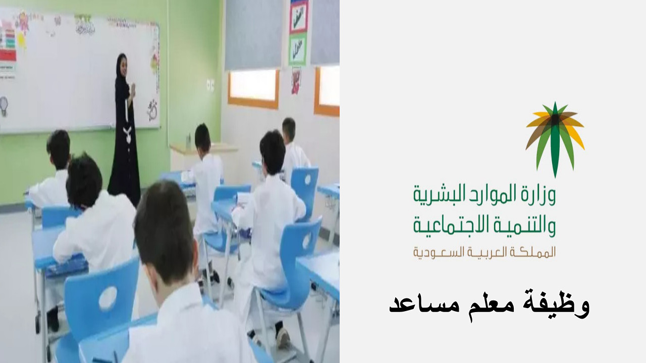 وظيفة معلم مساعد