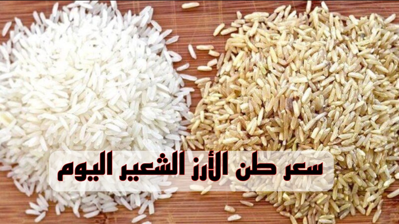 ارتفاع كبير قبل رمضان.. سعر طن الأرز الشعير اليوم السبت في الأسواق المصرية بعد آخر زيادة