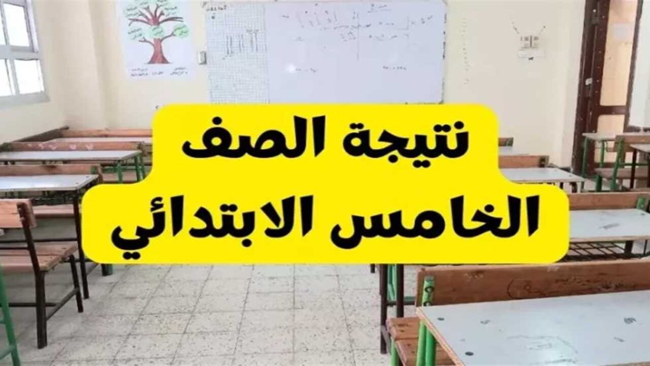 نتيجة الصف الخامس الابتدائي برقم الجلوس 2025