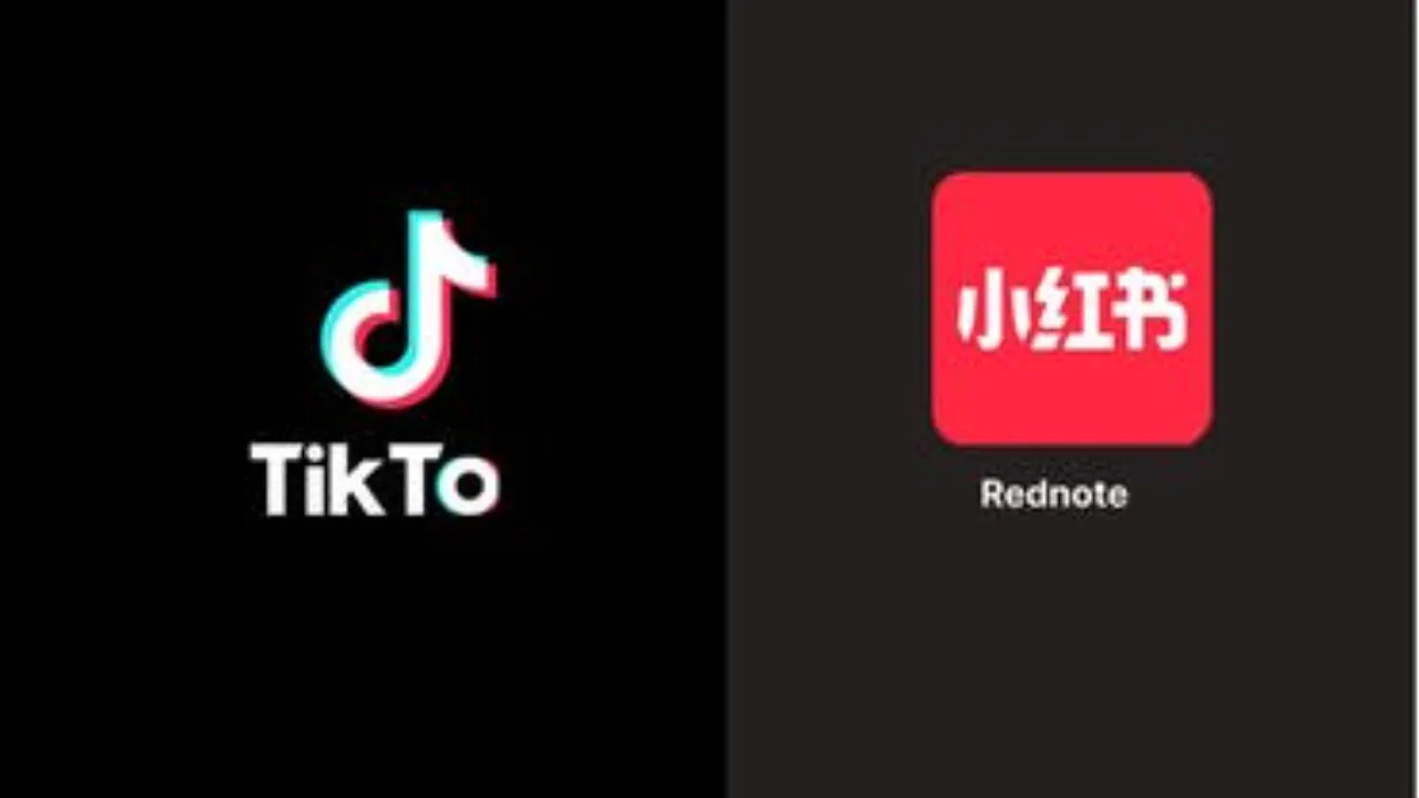 "مع احتمال حظر تيك توك" تطبيق RedNote الصيني بديل يتصدر متجر apple store.. فما هو؟