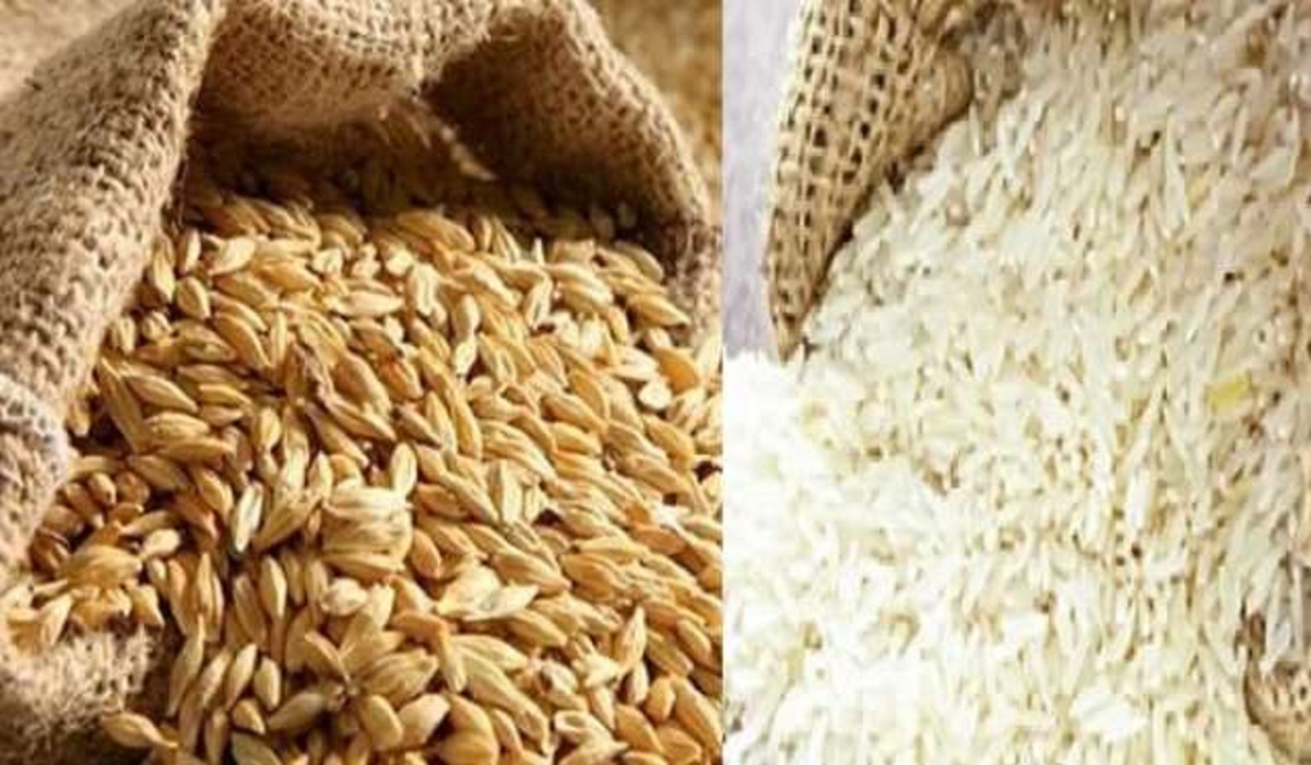 سعر طن الأرز الشعير اليوم