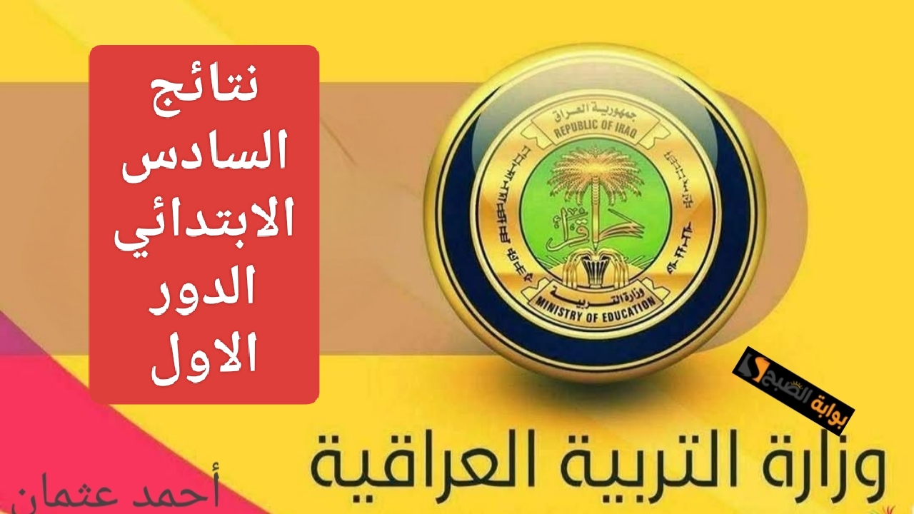 IMG ٢٠٢٥٠١٢٧ ١٣٤١٥٣