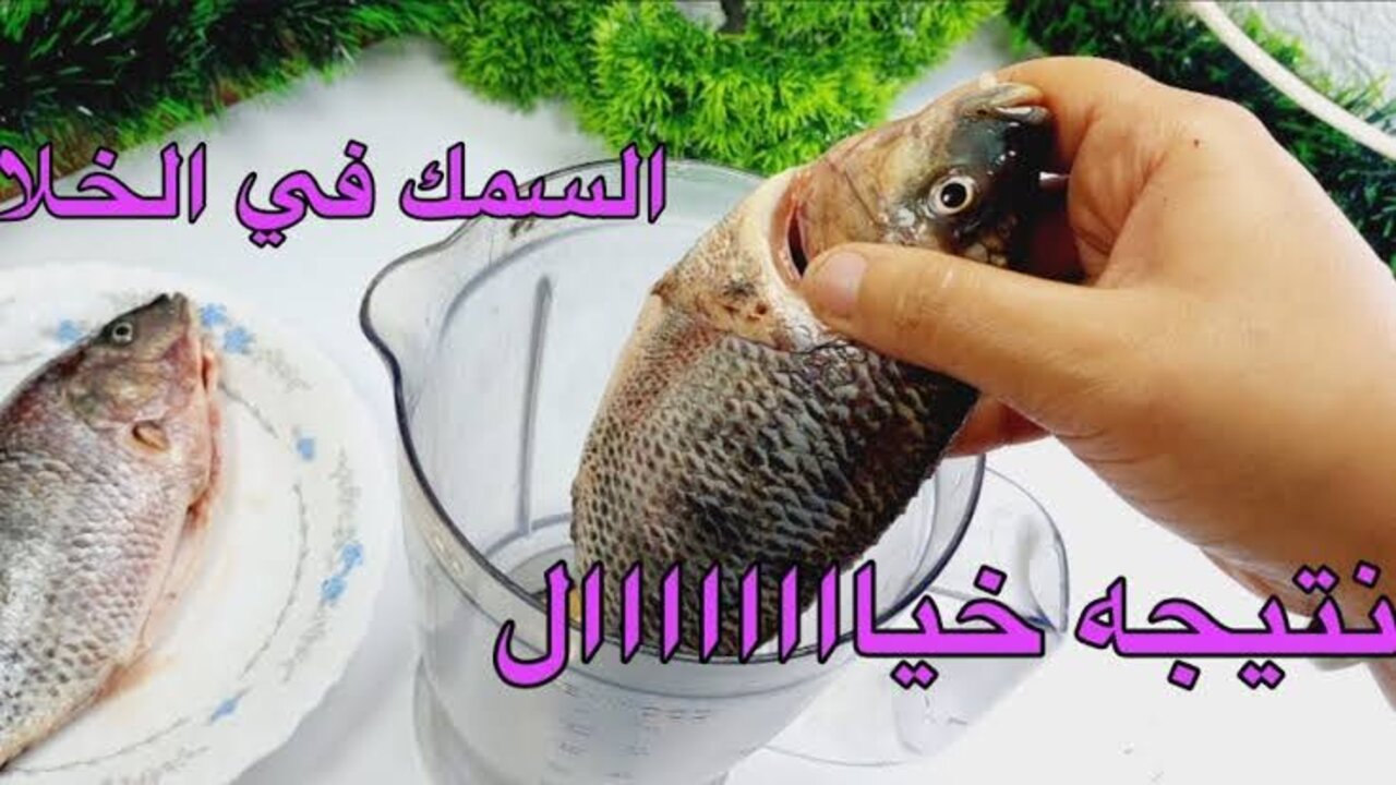 طريقة تحضير السمك في الخلاط