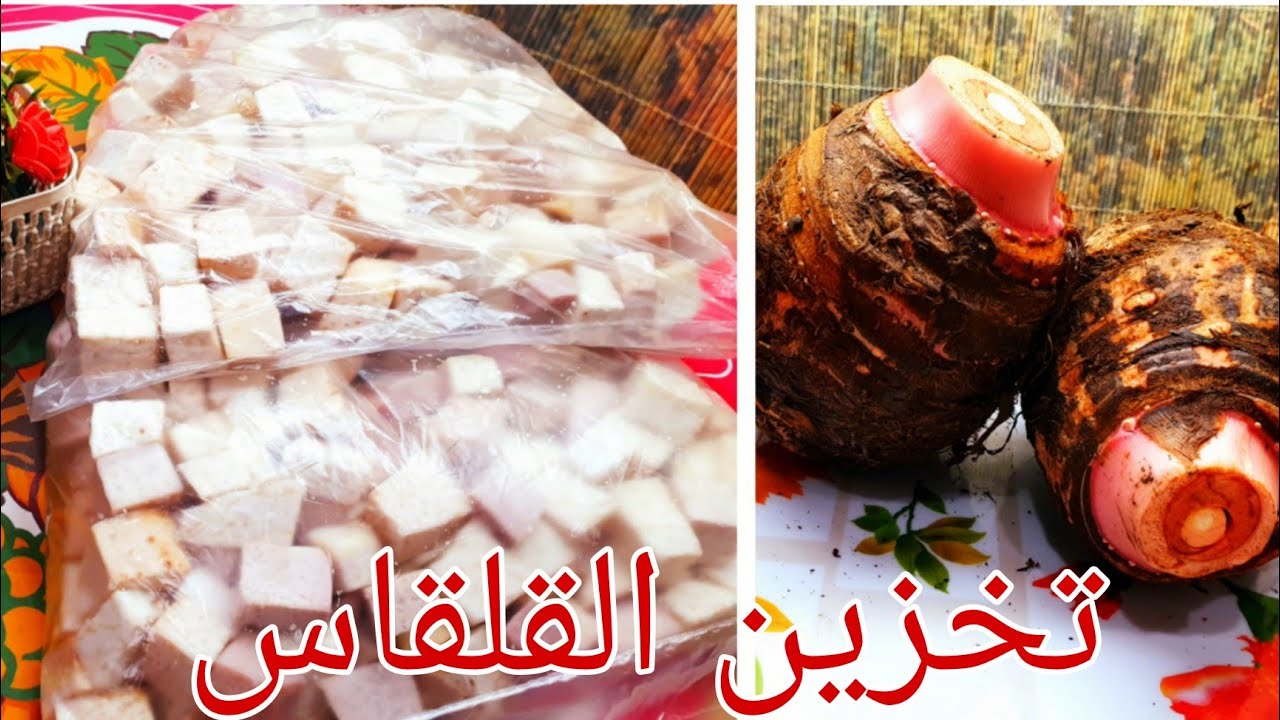 تخزين القلقاس