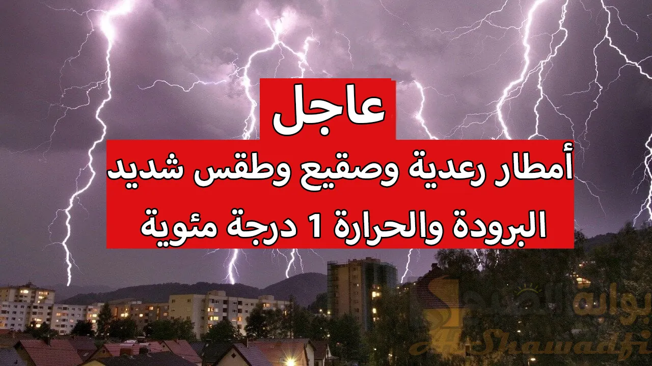 أمطار رعدية وصقيع وطقس شديد البرودة والحرارة 1 درجة مئوية.. حالة الطقس في العراق اليوم وفقًا لهيئة الأنواء الجوية