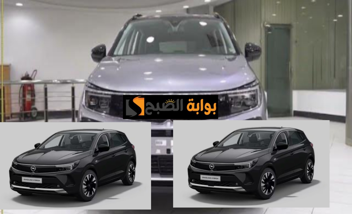 أوبل جراند لاند 2025
