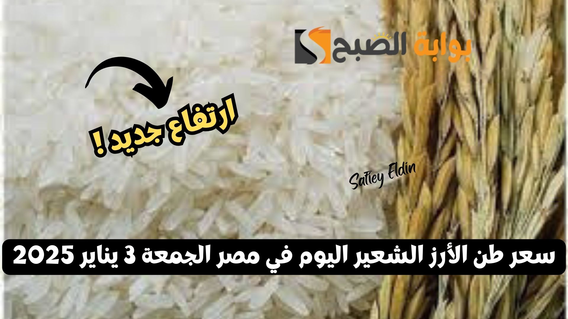 سعر طن الأرز الشعير اليوم في مصر الجمعة 3 يناير 2025