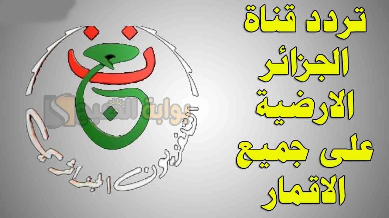استقبلها الآن.. تردد قناة الجزائرية الأرضية الجديد 2025 Programme National hd لمتابعة أقوى المباريات وكيفية فك الشفرة على النايل سات
